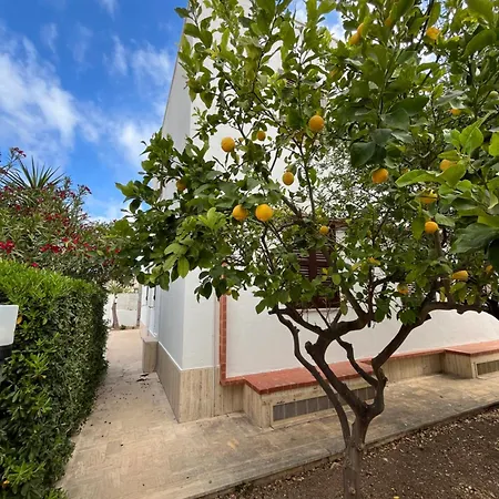 2m A 50 Metri Dal Mare Ferienhaus